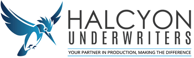 Halcyon Underwriters Icon